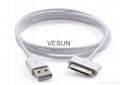 30 Pin USB Charging & Data Sync Cable for Apple iPhone 3 4 4S iPad 2 3 1m   1