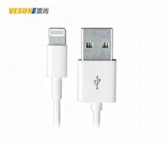 iPhone 6 USB cable