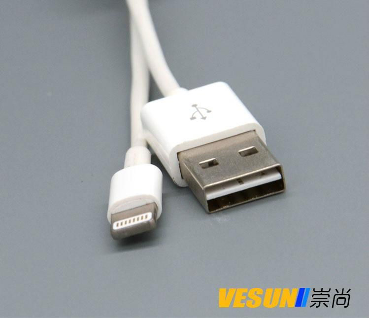 iPhone 6 USB cable 2