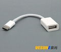 USB 3.1 Type C Male to USB 3.0 Female