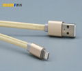 Lightning cable  2