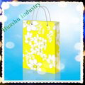 China Manufacturer Paper Gift Bag 1