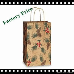 China Manufacturer 160g Brown Kraft Paper Gift Bag