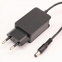 5V2A Switching Power Adapter with CE GS-TUV (Hot Product - 1*)