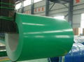 Prepainted galvanized steel coils 4