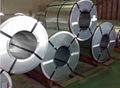 Galvalume Steel Coils