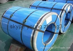 PPGI steel coil