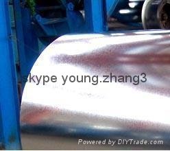 Hot dip dipped galvanized steel coil 2