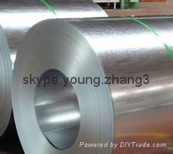 Hot dip dipped galvanized steel coil 5