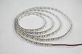 LED strip- LR series  SMD3528 DC12V