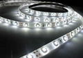 LED strips-LDS Series IP65 SMD5050 DC12