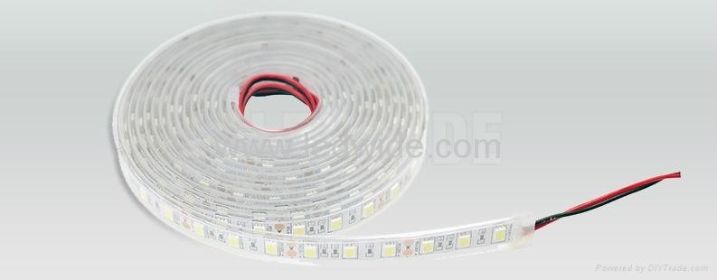 LED strips IP67 LS Series SMD3528 DC12/24V 240leds/m(Double row) 19.2w/m