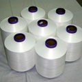 75/36 RW NIM DTY (polyester filament