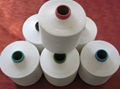 75/72 RW NIM DTY (polyester filament