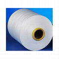 75/72 RW HIM DTY (polyester filament yarn) 1