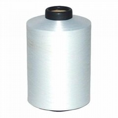 300/96 NIM RW DTY (polyester filament