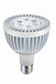 LED-PAR30 JZ-PAR30--15W/30W/40W (Frequent-Used!!