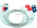 Philips® Twin Pin Compatible ECG Lead Set M1623A 17