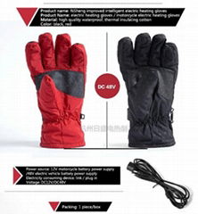 Electric Heating Gloves