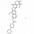 鹽酸伊立替康