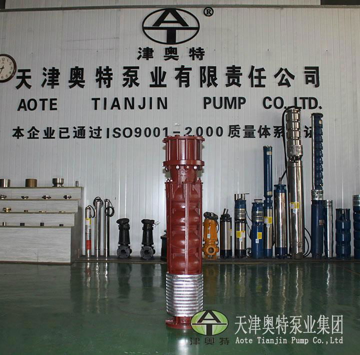 Ritz technology submersible pump introduction 2
