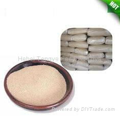 Selenium-Enriched Yeast with Lowest Price (CAS No. 119-44-8)