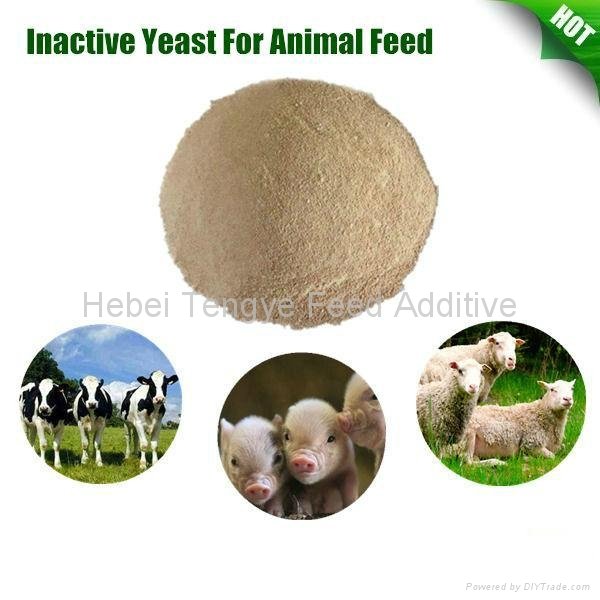 Inactive dried yeast 50% 60% Certificated with ISO 9001 SGS FAMI-QS