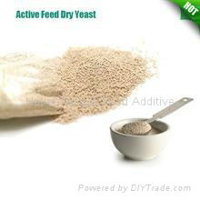 Inactive dried yeast 50% 60% Certificated with ISO 9001 SGS FAMI-QS 2