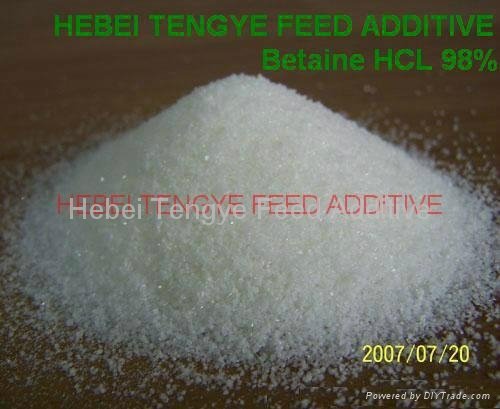 Betaine HCL 98% For Fish 2