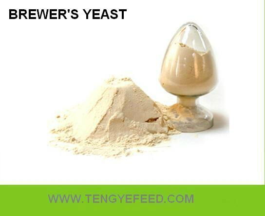 Saccharomyces cerevisiae Yeast 40- 60% 2