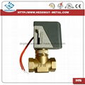 VAC220V Electric Operated Flow Control Valve