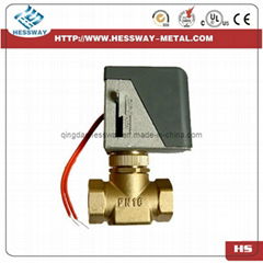 2way 220VAC Electric Operated Flow Control Valve