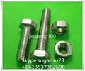 Stainless steel bolts  1