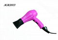 free shipping 1000W mini travel hair