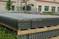 Welded Wire Mesh roll or panel 2