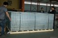 Welded Wire Mesh roll or panel 3