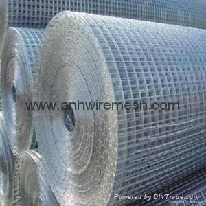  Galvanized Iron Welded wire mesh  2