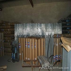 Hot-Dipped Galvanized Welded Wire Mesh Panel (AH-1320)