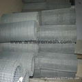 Galvanized Crimped Wire Mesh for