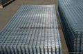 10*10 Galvanized Welded Wire Mesh Roll or Panel 3