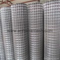 10*10 Galvanized Welded Wire Mesh Roll or Panel 5