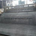 Galvanized Crimped Wire Mesh for Construction 4