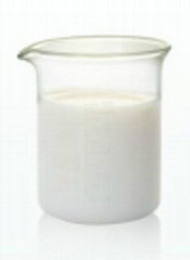  Zirconium Oxide Polishing Slurry