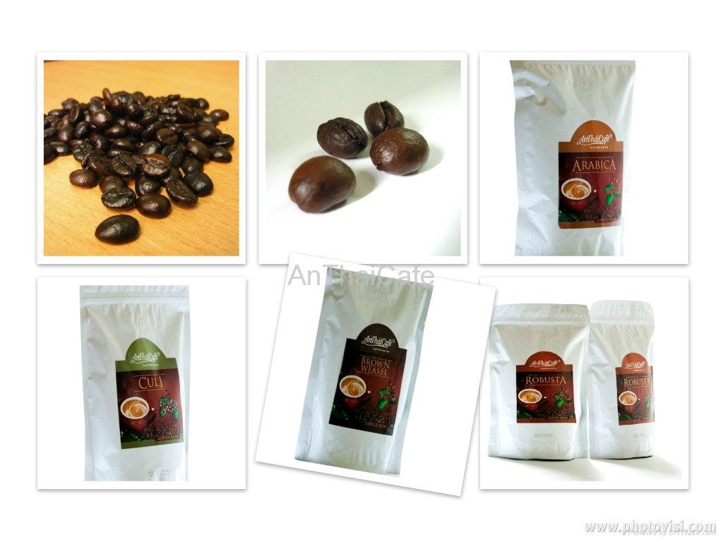 Arabia Robusta Culi Kopi Luwak Roasted Coffee Beans 2