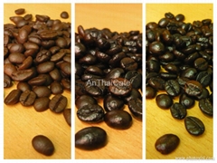  Robusta Roasted Coffee Beans