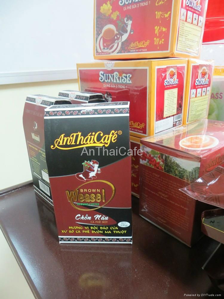 Kopi luwak Coffee (Aroma) 3