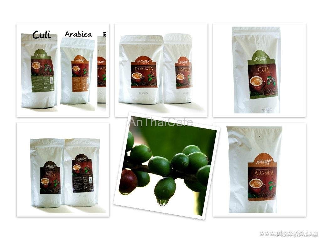 Kopi Luwak Coffee Beans (Aroma) 2