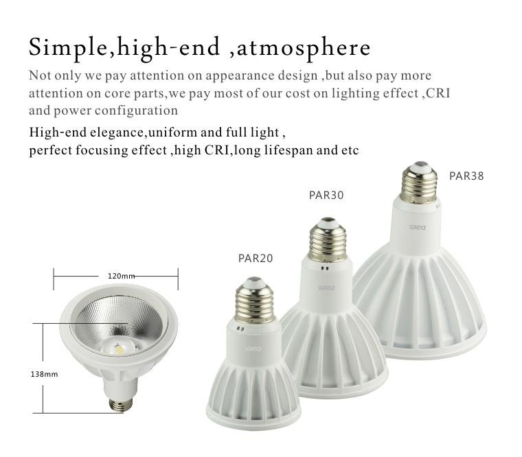 LED manufactory PAR spotlight COB PAR38 led light 2014 New design 3