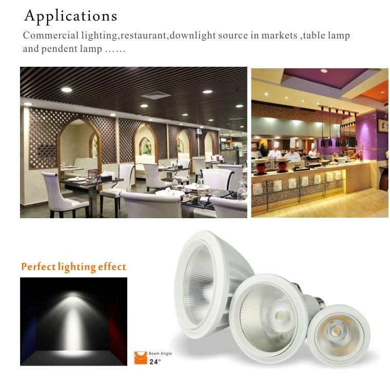LED manufactory PAR spotlight COB PAR38 led light 2014 New design 4