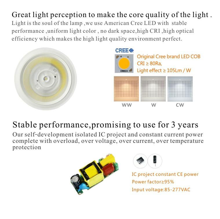 LED manufactory PAR spotlight COB PAR38 led light 2014 New design 5